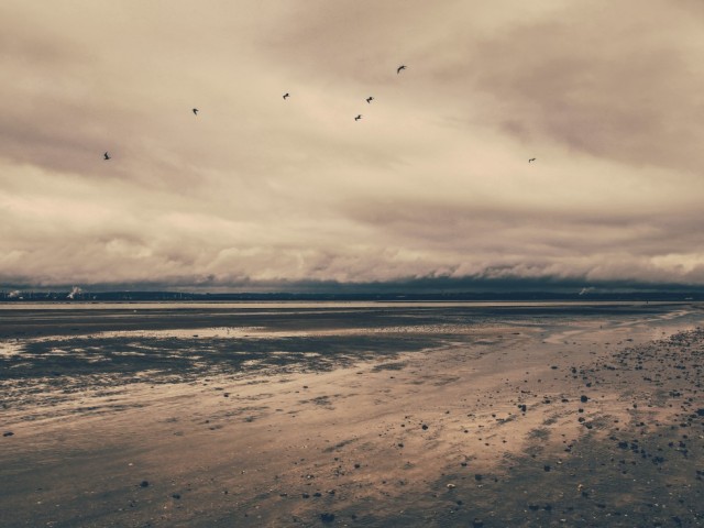 Aut quia dolore in doloribus. Numquam officiis explicabo impedit minus excepturi praesentium.