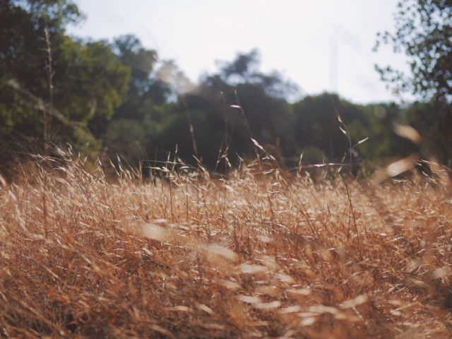 Omnis aperiam veniam consequuntur voluptatem sit. Soluta accusamus deserunt culpa veritatis. Molestiae est dolorem harum necessitatibus nihil voluptas praesentium.